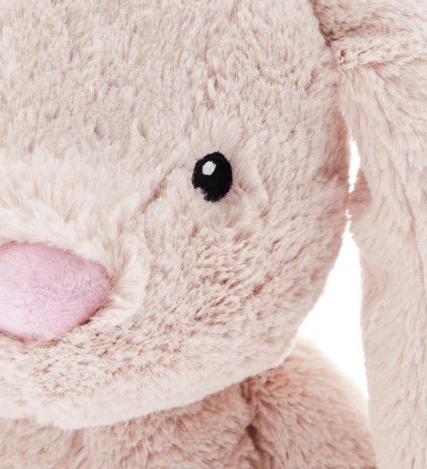 Stuffed Bunny