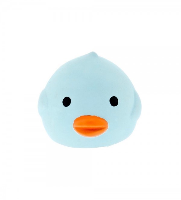 Ducky Farm Toy