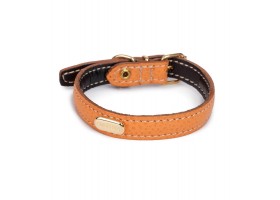 Collar Orange The Cinopelca Flat