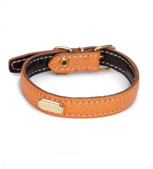 Collar Orange The Cinopelca Flat