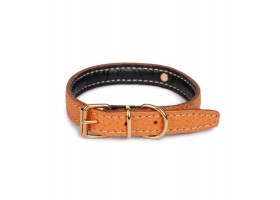 Collar Orange The Cinopelca Flat