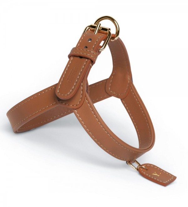 Caramel Leather Harness
