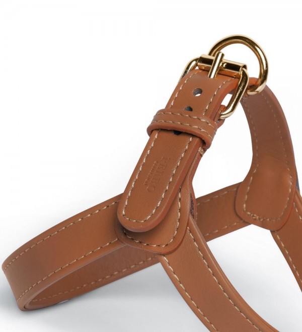 Caramel Leather Harness