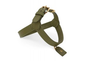 bosco harness