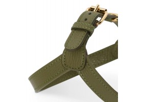 bosco harness