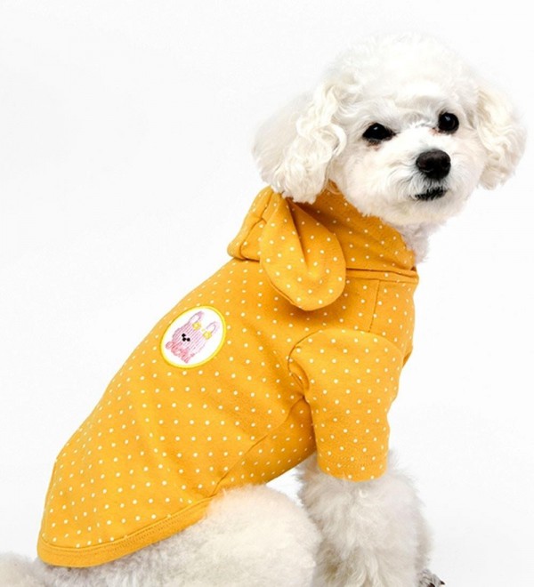 Rabbit Yellow Dog Sweater