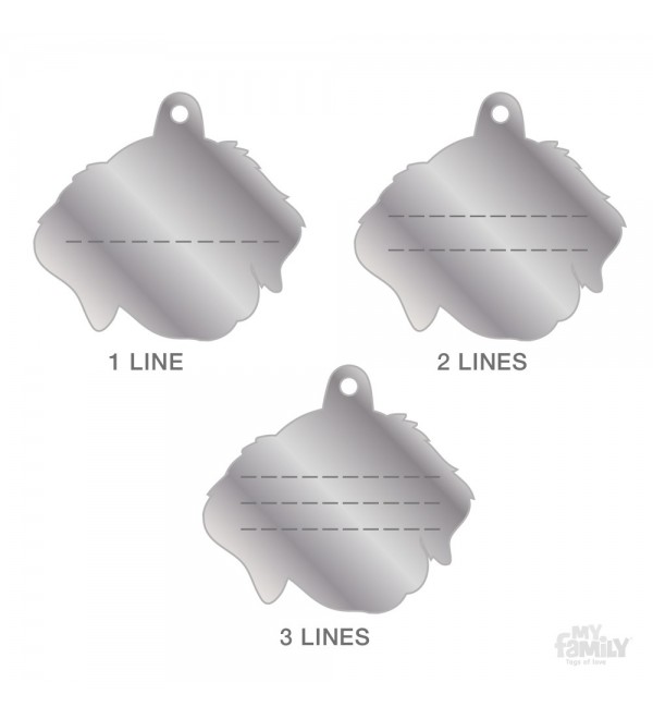 Chapa Friends Golden Retriever