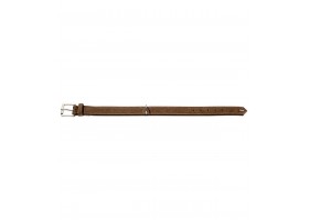 Collar Large Norwegian Hunting Dog Brown