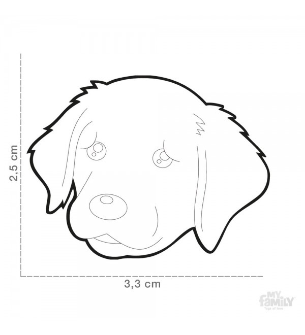 Golden Retriever Friends Tag