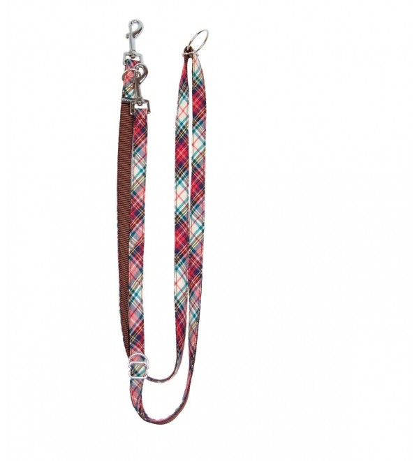 Correa Multiposición Perro Bot