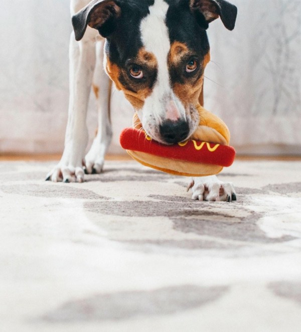 Plush Hot Dog