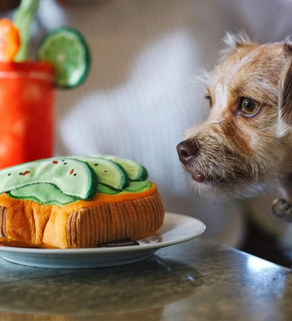 Peluche Tostada Aguacate