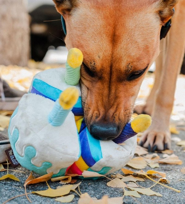 Peluche Tarta Cumpleaños