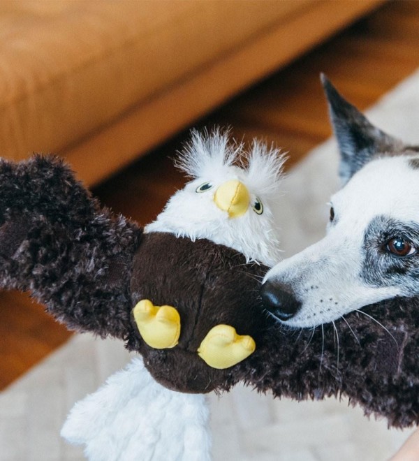 Eagle Stuffed Animal