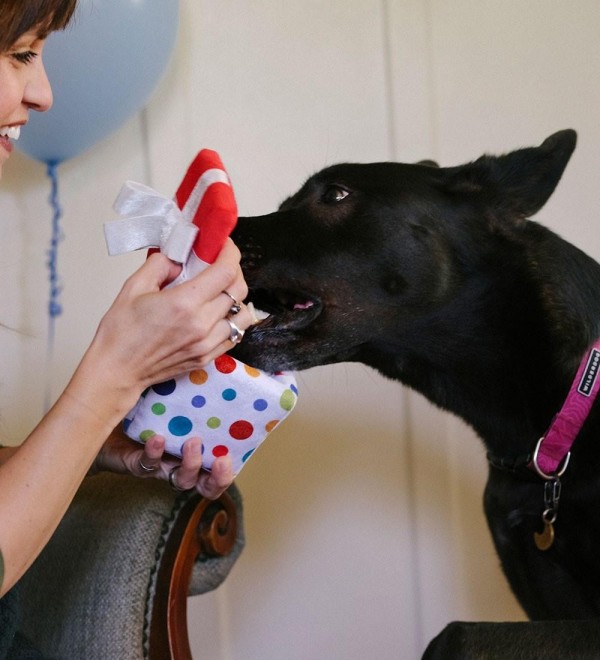 Peluche Regalo Cumpleaños
