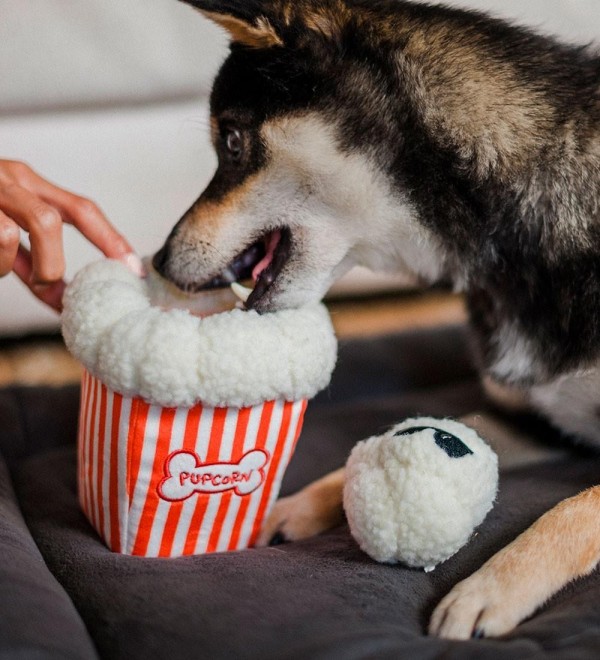 Popcorn Plush