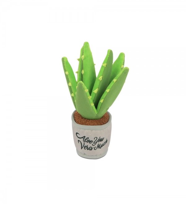 NICI- Peluche pianta Aloe Vera Willibald 18cm Verde dalla Produzione