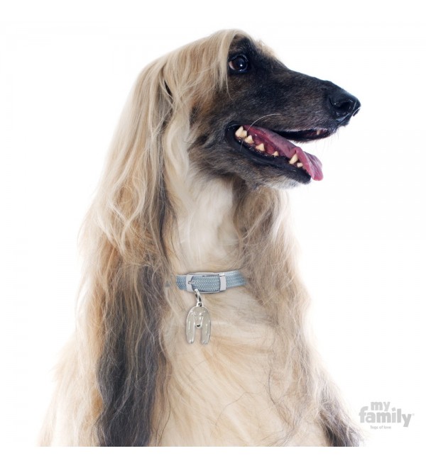 Dog Tag Friends Afghan Hound