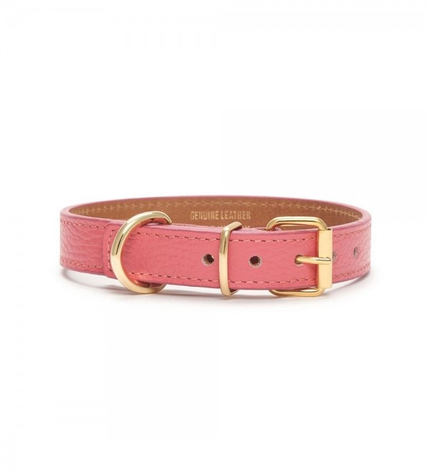 Collar Leather Dog Juno Coral