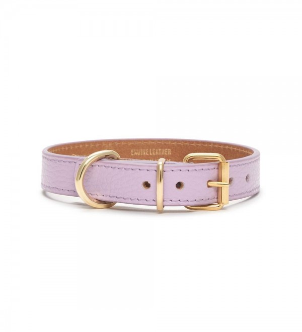 Collar Leather Dog Juno Lavender