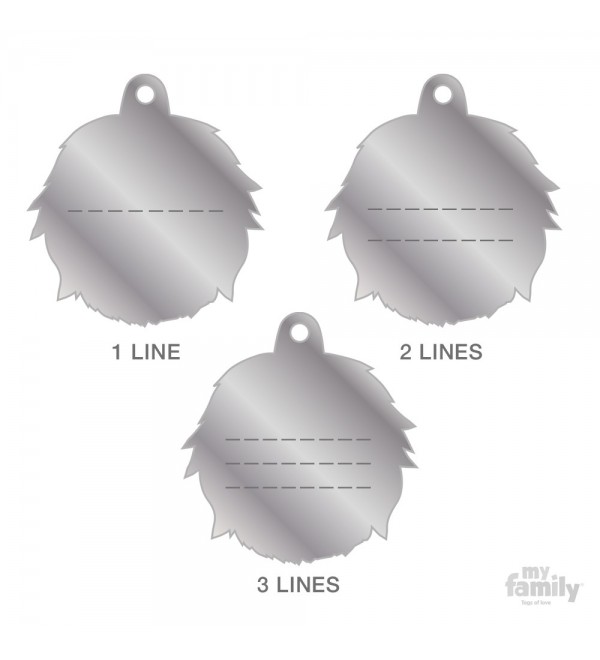 Chapa Friends Coton de Tulear