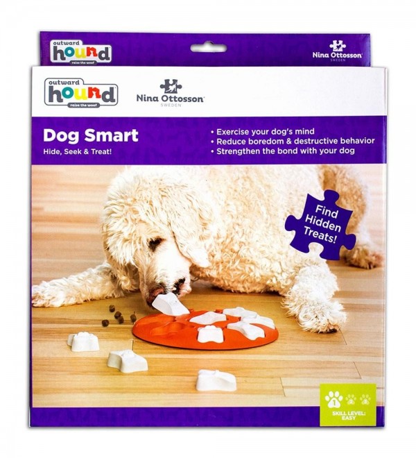 Interactive Smart Toy