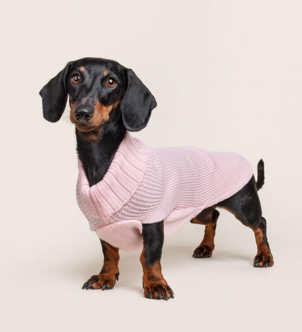 Costa Inglese Pink Dog Sweater (100% Merino Wool)