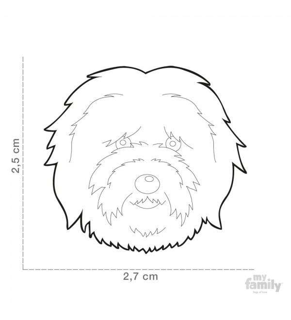 Chapa Friends Coton de Tulear