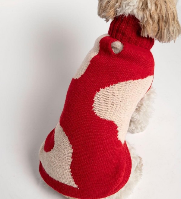 Jersey para perro René Rojo