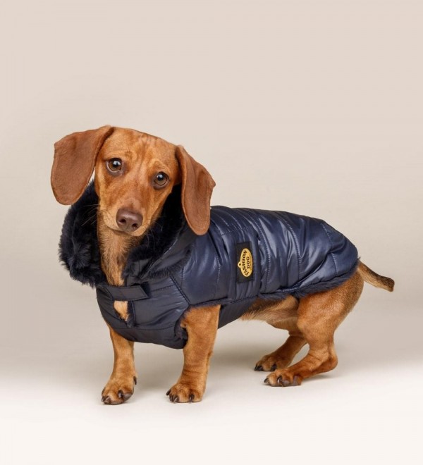 Navy blue down jacket for dog FD