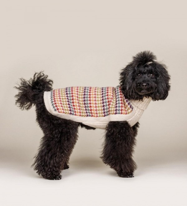 Jersey para perro de lana de alpaca - Artesana