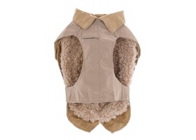 Dog coat - Prestige Beige Trench Coat