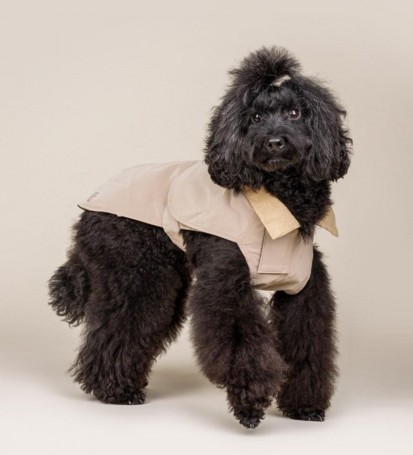 Dog coat - Prestige Beige Trench Coat