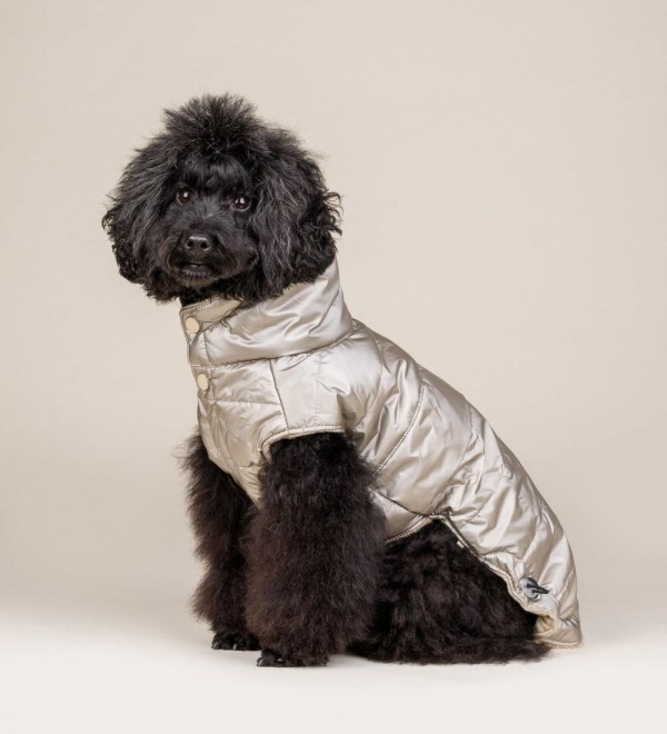 Waterproof coat for dog Cristallo Beige