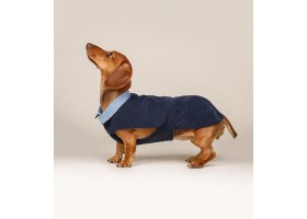 Dog coat - Trench Prestige Blue
