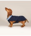 Dog coat - Trench Prestige Blue