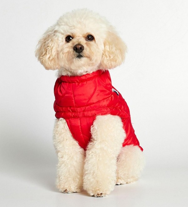Dog coat - Puffer in Red