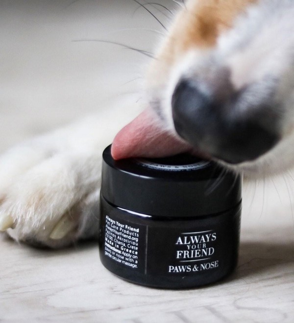 Balm for Paws & Nose