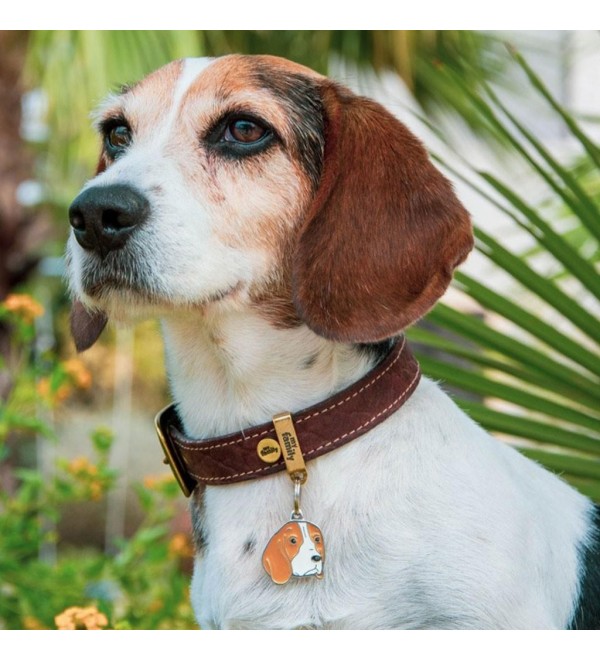 Dog Tag Friends Beagle