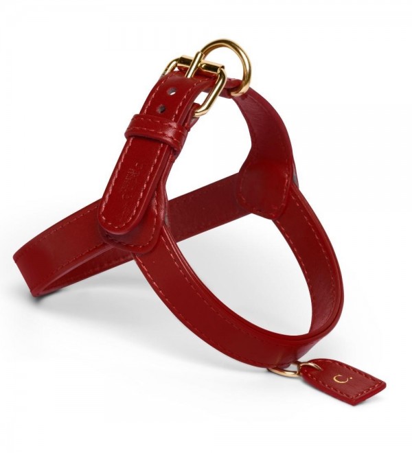 Scarlet Leather Harness