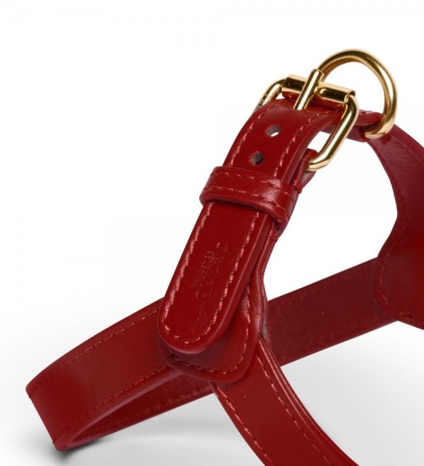Scarlet Harness