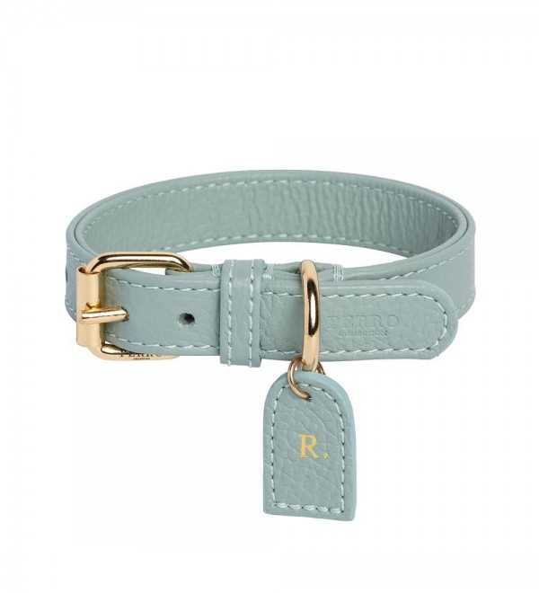 Collar Cuero Perro Mint