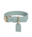 Collar Cuero Perro Mint