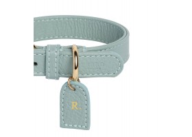 Collar Leather Dog Mint