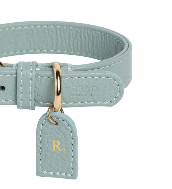 Collar Cuero Perro Mint