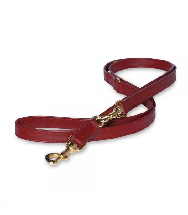 Scarlet Multiposition Leash