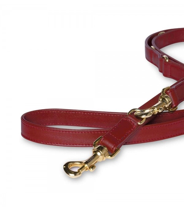 Scarlet Multiposition Leash