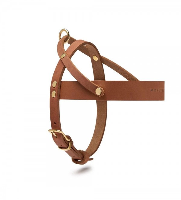 Leather Harness Butter Sahara