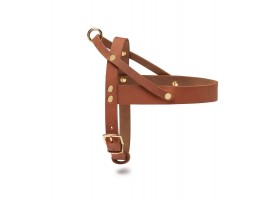 Butter Sahara Harness