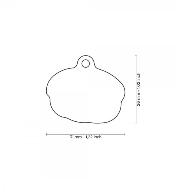 Dog ID Tag Food Sushi